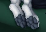  4_toes black_pawpads digitigrade foot_focus hi_res mammal pawpads staggard tala_(suntattoowolf) toes 