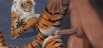  anthro anus balls breasts butt felid feline female fur hair human human_on_anthro inkersod interspecies male male/female mammal nipples nude pantherine penetration penis pussy sex tiger wet white_hair 