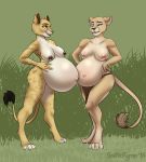  2018 4_toes anthro areola barefoot belly belly_bump big_belly blue_eyes breasts claws clothed clothing duo feline female frown fur grass hand_on_stomach lion loincloth mammal navel nipples nude outside pregnant simple_background smile spots spottedtigress standing toes topless tribal yellow_eyes 