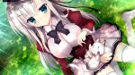  animal bow cat game_cg grass haruoto_alice_gram kuonji_kazuha long_hair nanawind seifuku tagme_(artist) thighhighs white_hair 