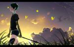  androgynous bug butterfly cloud colored_eyelashes crack cracked gem_uniform_(houseki_no_kuni) golden_arms grass green_eyes green_hair highres houseki_no_kuni insect kattatsu_(aadg7828) letterboxed necktie outdoors phosphophyllite sad scenery short_hair sky solo sparkle spoilers sunset sword weapon 