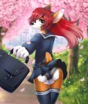  anthro black_fur black_nose briefcase bulge butt canine clothed clothing crossdressing dannyckoo dog fur green_eyes hair hair_over_eye hi_res leggings legwear lingerie long_hair looking_at_viewer looking_back male mammal multicolored_fur one_eye_closed orange_fur outside panties petals red_hair sakura school_uniform signature smile solo spring underwear uniform upskirt walking white_fur wink 