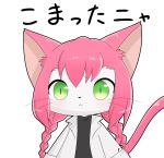  1girl artist_request cat cat_busters furry green_eyes long_hair pink_hair solo 
