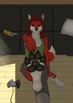  anthro canine clothed clothing digitigrade feet female foot_focus fox gamer hi_res legwear looking_at_viewer mammal mistress paws smelly socks soles solo wayfarer 