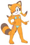  2018 anthro bikini breasts camel_toe clothed clothing cub female flat_chested jetfrozen mammal marine_the_raccoon procyonid raccoon simple_background smile solo sonic_(series) swimsuit young 