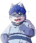  2017 anthro blush canine clothing dog halu_1129 hoodie male mammal open_mouth solo tears 