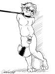 2012 anthro balls canine chastity chastity_cage collar eyewear fox glasses hands_behind_back leash line_art male mammal neoneon nude simple_background slightly_chubby solo tail_between_legs white_background 