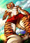  anthro bulge clothing feline fujiokaaika invalid_tag male mammal tiger underwear 