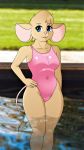  2018 anthro big_breasts breasts brown_fur buffbumblebee_(artist) clothed clothing digital_drawing_(artwork) digital_media_(artwork) female front_view fur grass hair hi_res looking_at_viewer mammal mouse navel one-piece_swimsuit pool_(disambiguation) rodent shiny smile solo standing swimsuit teeth thick_thighs water 