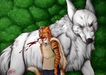  anthro blood canine cosplay feline fujiokaaika ghibli male mammal princess_mononoke tiger wolf 