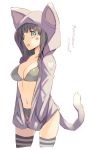  :d animal_ears animal_hood blush bra breasts brown_hair cowboy_shot eyebrows_visible_through_hair green_eyes grey_bra grey_panties hands_in_pockets hood hood_up large_breasts long_sleeves looking_at_viewer navel oota_yuuichi open_mouth original panties sideways_mouth simple_background slit_pupils smile solo striped striped_legwear tail thighhighs thighs translation_request underwear white_background 