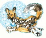  2018 african_wild_dog anthro bikini black_fur blue_eyes brown_fur canine clothed clothing female fur heather_bruton mammal mandala pawpads solo swimsuit white_fur wild_dog 