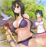  arms_behind_back bangs bare_arms bare_shoulders bikini bird black_hair blunt_bangs blush breasts casual_one-piece_swimsuit cleavage day fence flying green_eyes green_hair green_shorts highres iwato_kasumi karijuku_tomoe kobayashi_ritz large_breasts long_hair looking_at_viewer looking_away multiple_girls navel official_art one-piece_swimsuit ponytail purple_bikini red_hair saki seagull shorts sky standing swimsuit takimi_haru tree water 