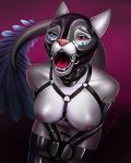  anthro bdsm bondage bound breasts canine clothed clothing dragon febii female gag gradient_background harness heterochromia hood hybid mammal metal mittens nipples open_mouth quillu ring_gag rubber simple_background slave solo throat wolf wolgon 