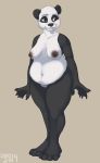  2014 4_toes 5_fingers anthro areola bear black_fur black_nose breasts brown_eyes claws dbd digital_media_(artwork) erect_nipples female front_view fur mammal multicolored_fur nipples nude panda simple_background slightly_chubby smile solo standing teeth toes two_tone_fur white_fur 