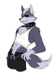  clothing collar ikiruse male nintendo simple_background solo star_fox video_games wolf_o&#039;donnell 