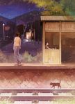  1girl blue_pants blue_sky brown_hair cat commentary_request denim gemi grass night night_sky original outdoors pants power_lines railroad_tracks shirt shoes short_sleeves sitting sky sneakers telephone_pole train_station walking yellow_shirt 