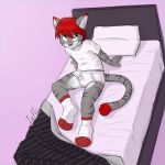  anthro bed bedding blanket briefs cat clothing feline fur green_eyes grey_fur hair iztli legwear male mammal pillow red_hair shirt simple_background socks solo t-shirt tighty_whities underwear whiskers 