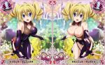  blonde_hair blue_eyes card_(medium) high_school_dxd rainbow ravel_phenex 