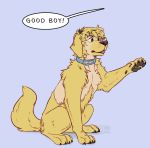  canine collar dialogue digitigrade dog feral fur hair hindpaw human mammal pawpads paws reservoirdog_(artist) solo tongue tongue_out transformation whiskers yellow_fur 
