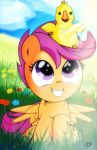  2018 avian beak blush chocobo cloud crossover cute dsana duo equine eyelashes feathered_wings feathers female feral field final_fantasy flower friendship_is_magic grass grin hair hi_res hooves looking_up mammal my_little_pony on_top open_mouth orange_feathers outside pegasus plant portrait purple_eyes purple_hair scootaloo_(mlp) short_hair signature sitting sky smile square_enix sunlight teeth tongue video_games wings yellow_feathers young 