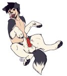  animal_genitalia animal_penis balls canine canine_penis dog feral hindpaw looking_at_viewer male mammal nipples open_mouth paws penis precum reservoirdog_(artist) smile solo tongue tongue_out transformation 
