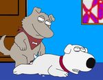  brian_griffin family_guy new_brian tagme 