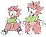  amy_rose anthro bottomless clothed clothing disembodied_penis female footwear hedgehog male male/female mammal penis prodding pussy rosy_the_rascal sakana8888888 shirt shoes short_stack sonic_(series) 