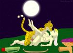  2018 anthro balls bianca_(spyro) bow butt cheetah discarded_clothing duo emperorstarscream feline female hunter_(spyro) kissing lagomorph lying male male/female mammal missionary_position moon night nipples nude on_back outside pawpads penetration penis pussy rabbit romantic_couple sex sky spyro_the_dragon star starry_sky vein video_games 