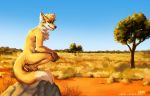  2018 anthro blue_eyes canine chest_tuft day detailed_background digital_media_(artwork) fur lukiri male mammal outside sky smile solo tan_fur tuft 