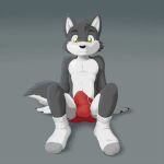  anthro black_nose blush briefs bulge canine claws clothed clothing crisp_the_wolf cub digital_media_(artwork) erection erection_under_clothes fur gloves_(marking) green_eyes grey_background grey_fur legwear looking_down male mammal markings multicolored_fur penis penis_outline simple_background sitting socks solo source_request teenager topless two_tone_fur underwear wagnermutt white_fur wolf young 