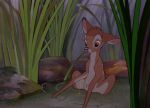  animated bambi bambi_(film) cervine disney edit feral male mammal peeing penis urine watersports 