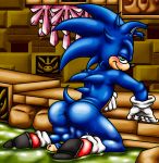  absurd_res athletic balls big_balls blue_fur blush brick buckles butt clothing crystal footwear fur gloves green_eyes happyanthro hi_res kneeling legwear long_penis male multicolored_fur muscular penis presenting presenting_hindquarters shoes socks solo sonic_(series) sonic_the_hedgehog tan_fur two_tone_fur wall_(disambiguation) water wet 