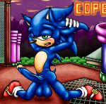  balls big_balls blue_fur blush buckles city clothing cloud fence footwear fur gloves green_eyes hands_behind_head happyanthro legwear long_penis male mountain penis shoes socks solo sonic_(series) sonic_the_hedgehog spread_legs spreading tan_fur 