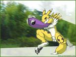  digimon irene renamon rule_63 tagme 