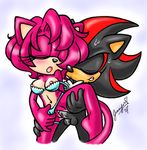  chibijenhen sega shadow_the_hedgehog sonic_team tagme 