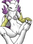  cosplay digimon furball gatomon renamon 