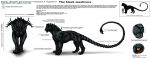  2012 anisis black_lips black_nose claws digital_media_(artwork) feline feral horn mammal manticore model_sheet paws solo standing whiskers 