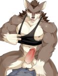  2018 5_fingers anal anthro biceps black_nose canine chung0_0 clothing digital_media_(artwork) fur male male/male mammal multicolored_fur muscular muscular_male nipples pecs sex simple_background white_background 