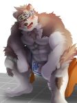  2018 abs absurd_res anthro canine clothing fur headband hi_res horkeukamui kemokemo kemono male mammal multicolored_fur muscular muscular_male pecs simple_background solo tokyo_afterschool_summoners white_fur wolf 