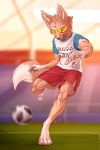  ancesra anthro ball blue_eyes canine clothed clothing eyewear fifa fur goggles male mammal mascot soccer soccer_ball sport wolf zabivaka 