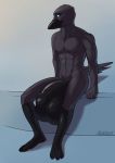  2018 anthro avian balls big_balls big_penis bird corvid flaccid hi_res humanoid_penis hyper hyper_penis looking_at_viewer male muscular muscular_male nude penis pulsar raven roro_(character) signature solo vein veiny_penis 