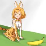  :3 animal_ears banana bangs bare_shoulders blush bob_cut bow bowtie breasts brown_hair clenched_hands commentary elbow_gloves eyebrows_visible_through_hair fangs food from_side fruit gloves half-closed_eyes high-waist_skirt kemono_friends looking_to_the_side medium_breasts meme multicolored_hair open_mouth orange_eyes orange_gloves orange_hair orange_legwear orange_neckwear orange_skirt parody photo-referenced print_gloves print_legwear print_neckwear print_skirt real_life seiza serval_(kemono_friends) serval_ears serval_girl serval_print serval_tail setia_pradipta shirt short_hair sitting skirt sleeveless sleeveless_shirt solo streaked_hair tail thighhighs two-tone_hair v-shaped_eyebrows white_footwear white_shirt 