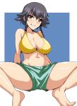  bikini bikini_shorts black_hair blush braid breasts brown_eyes girls_und_panzer highres koujun_(mugenzero) large_breasts looking_at_viewer navel pepperoni_(girls_und_panzer) shorts simple_background smile solo spread_legs swimsuit swimwear 