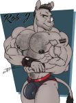  abs anthro body_hair bulge chest_hair clothing crown ear_piercing looking_at_viewer male mammal muscular muscular_male piercing rhinoceros rob_j._(character) solo speedo swimsuit tattoo teer wristband 