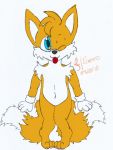  2018 anthro canine fox hi_res male mammal miles_prower romeothefox_(artist) solo sonic_(series) traditional_media_(artwork) young 