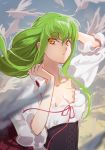  bangs braid breasts c.c. code_geass commentary_request creayus day dress eyebrows_visible_through_hair feathers floating_hair green_hair hand_behind_head long_hair looking_at_viewer medium_breasts outdoors parted_lips puffy_sleeves short_sleeves sidelocks sky upper_body yellow_eyes 