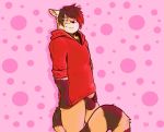  anthro balls black_hair brown_fur clothing covering covering_self erection eyewear fur glasses hair hoodie konomichi male mammal multicolored_hair orange_fur penis penis_base red_hair red_panda solo standing tohfu 