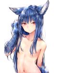  animal_ears arm_at_side bangs blue_hair breasts claws closed_mouth commentary_request eyebrows_visible_through_hair fenrir_(shingeki_no_bahamut) granblue_fantasy grey_hair hair_between_eyes hair_censor hair_over_breasts hand_up highres long_hair looking_at_viewer navel nude paws pink_eyes shingeki_no_bahamut sidelocks simple_background slit_pupils small_breasts solo sukemyon very_long_hair white_background 