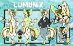  absurd_res avoid_posting canine clothing computer fennec fox hi_res invalid_color lumaberry lumunix male mammal model_sheet wifi_ears 